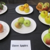 10 three apples