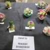 18 miniature arrangement