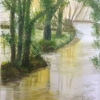 Reflections (watercolour) © Sue Robinson 2015