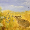 Hare (acrylic) © Sue Robinson 2015
