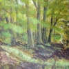 Woodland (acrylic) © Sue Robinson 2015