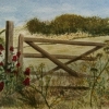 mid-summer view