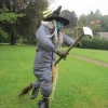 Winning scarecrow