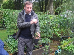 Nick with one of his cuttings