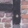 The bore hole to determine the age of the timber