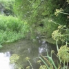 Down by the river