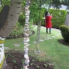 Hanging stones