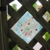 Glass panel in the trellis