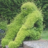 Ape-man sitting on the steps