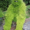 Ape-man sitting on the steps