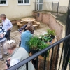 Plant Sale
