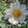 IMG_3160 (1280x960)