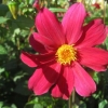 IMG_3164 (1280x960)