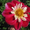 IMG_3166 (1280x960)