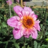 IMG_3172 (1280x960)