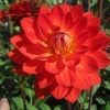 IMG_3179 (1280x960)
