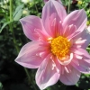 IMG_3238 (1280x960)