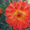 IMG_3246 (1280x960)