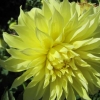 IMG_3258 (1280x960)
