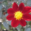 IMG_3273 (1280x960)
