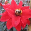 IMG_3283 (1280x960)