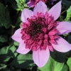 IMG_3286 (1280x960)