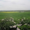 View northwards towards Odiham