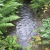 Tinkling stream