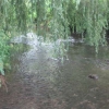The River Whitewater