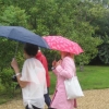 Intrepid BGs heading towards tea