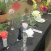 Flowers - Single Rose Stem