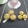 Vegetables - 3 Onions