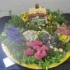 Floral Art - Adult - Miniature garden in a box or tray