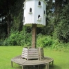 Dove Cote