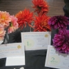 3 Dahlias winners