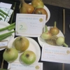 Three Onions winners