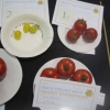 Three Tomatoes winners