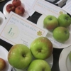 Three Apples winners