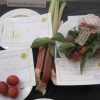Best Fruit in my Garden today winners