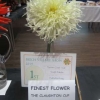Finest Flower winner of the Diamond Award