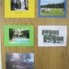 Photography - People at play