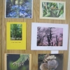 Photography - A secret corner of Beech