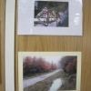 Photography - A secret corner of Beech