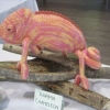 Craft - A knitted or crocheted article