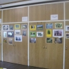 The Photography Section