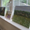 More Landscapes