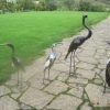 Beautiful metal sculptures on sale in the shop