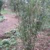 and some more