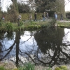 The Pond and some of the BGs