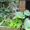 IMG_9055